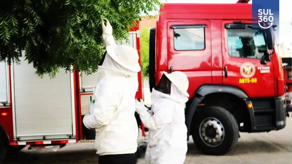 Homem é atacado por enxame de abelhas no Centro de Camaquã