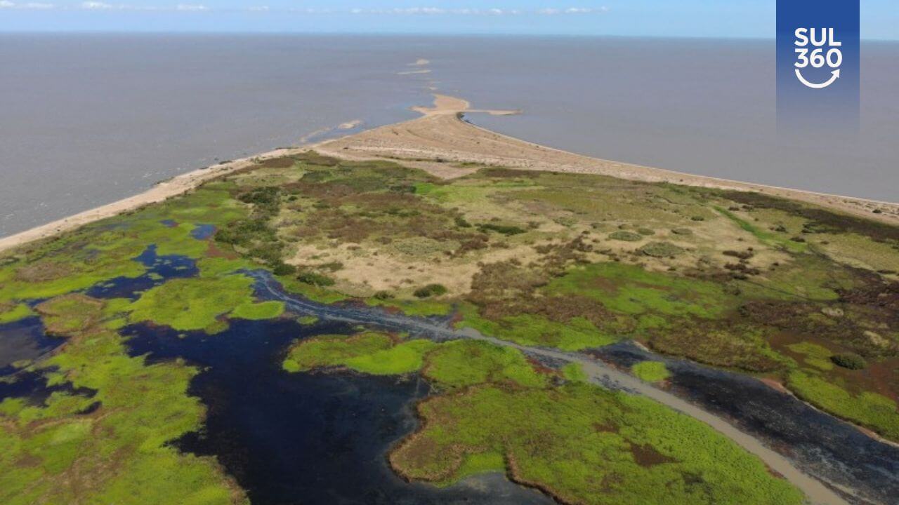 Parque Estadual do Camaquã: um tesouro natural do Rio Grande do Sul