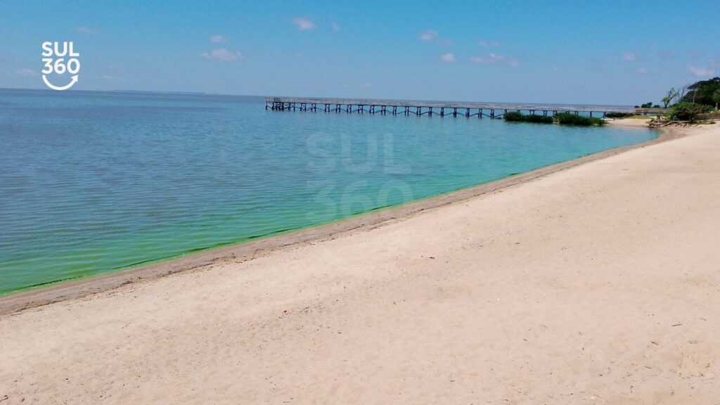 agua-verde-lagos-dos-patos-1024x576 Fenômeno da "água verde" pode estar voltando à Lagoa dos Patos em Tapes