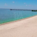 Fenômeno da "água verde" pode estar voltando à Lagoa dos Patos em Tapes