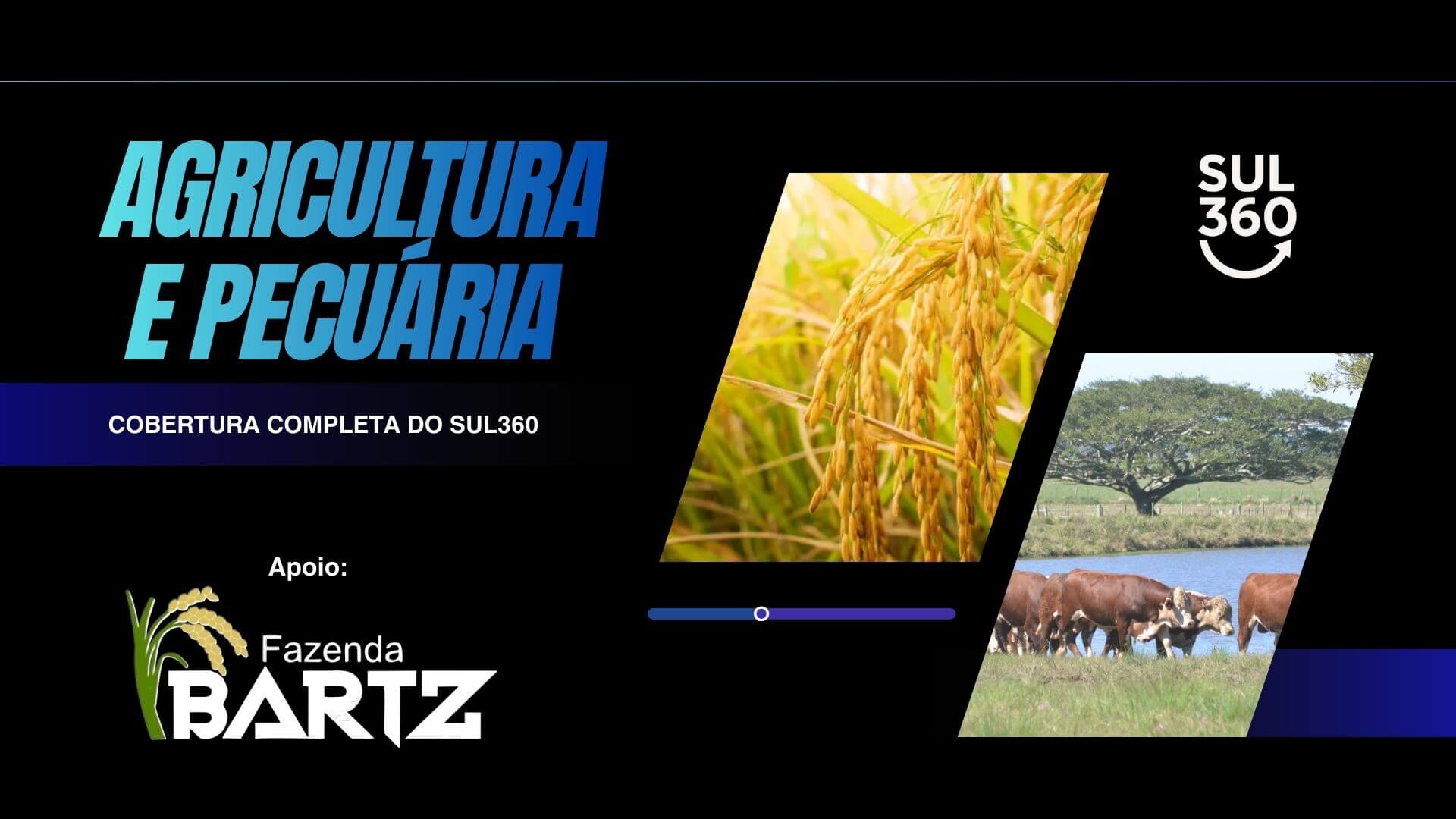 Agricultura e Pecuária | Camaquã e Região