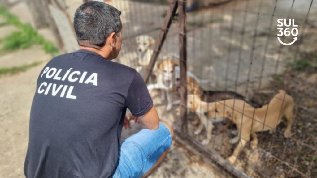 maus-tratos-contra-animais-ou-animal-de-estimacao