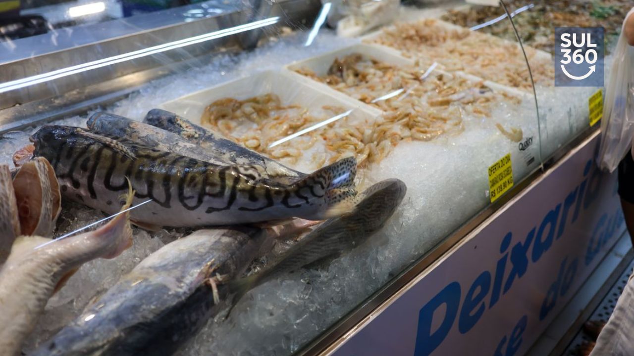 Vigilância Sanitária orienta consumidores sobre cuidados na compra e consumo de pescados na Semana Santa