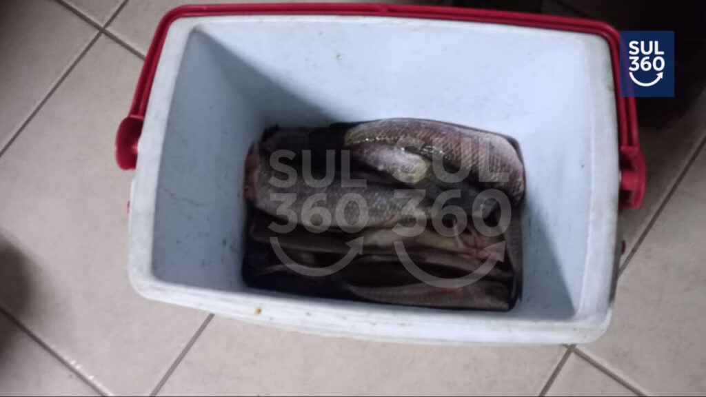 Homem é preso por pesca irregular na Barragem do Arroio Duro, em Camaquã