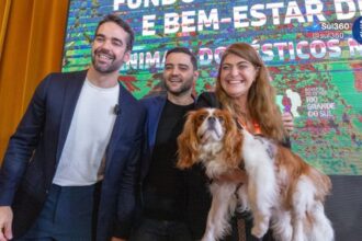 RS cria fundo para ampliar financiamento de políticas de proteção animal