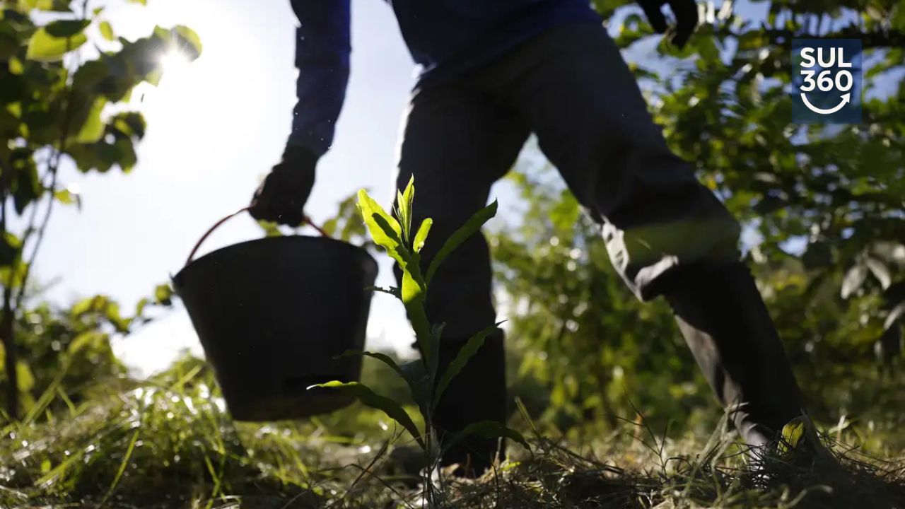Governo lança plano para transformar biodiversidade em motor econômico do país até 2035