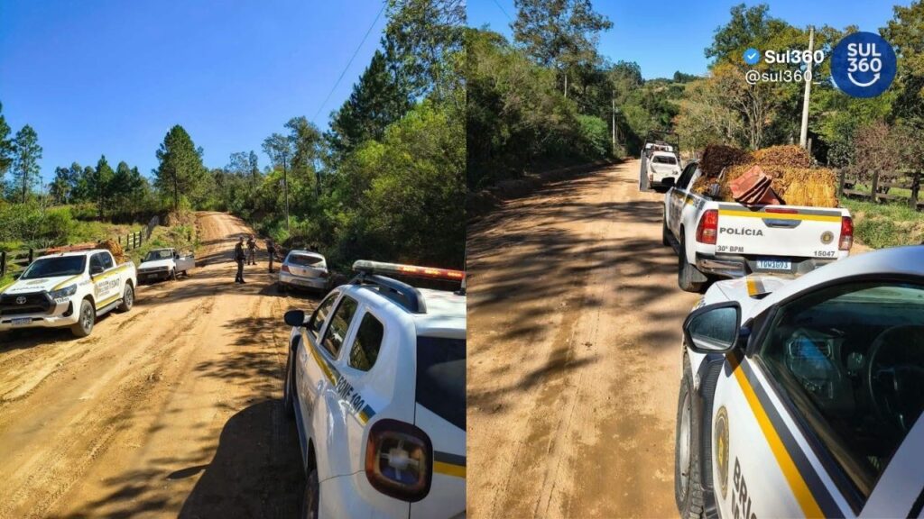 Suspeitos de furtar tabaco e motosserras são presos em Dom Feliciano e polícia investiga uso de veneno contra cães