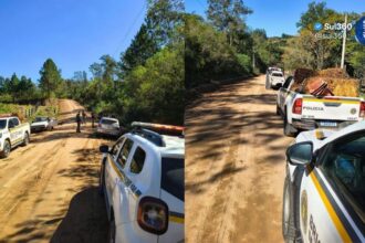Suspeitos de furtar tabaco e motosserras são presos em Dom Feliciano e polícia investiga uso de veneno contra cães
