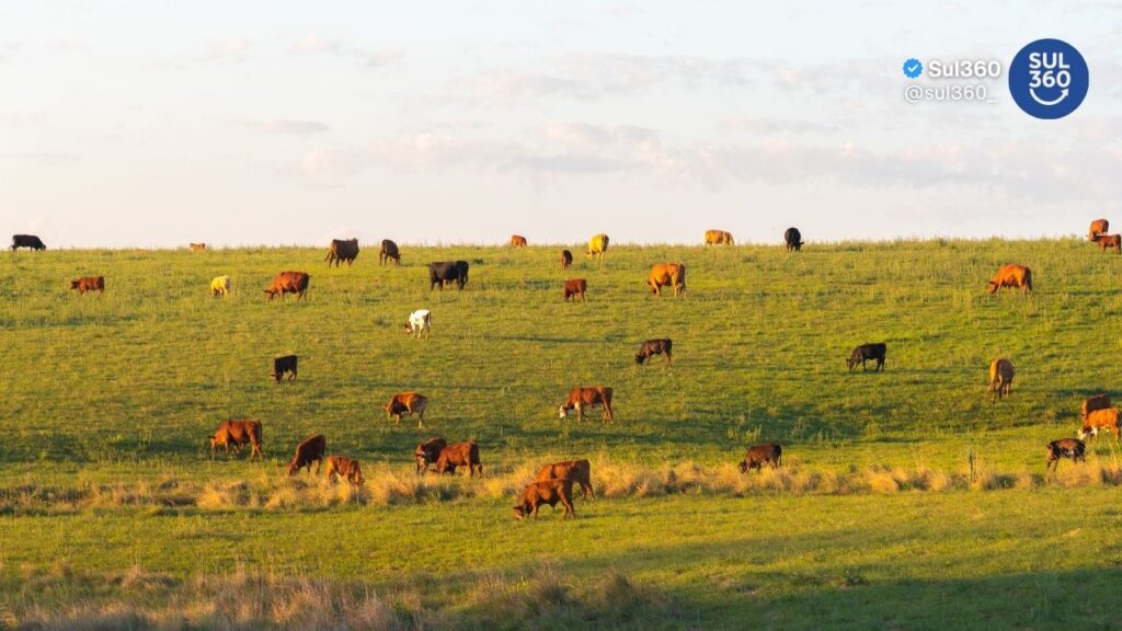 Crescimento da agropecuária deve impulsionar economia do Rio Grande do Sul em 2026