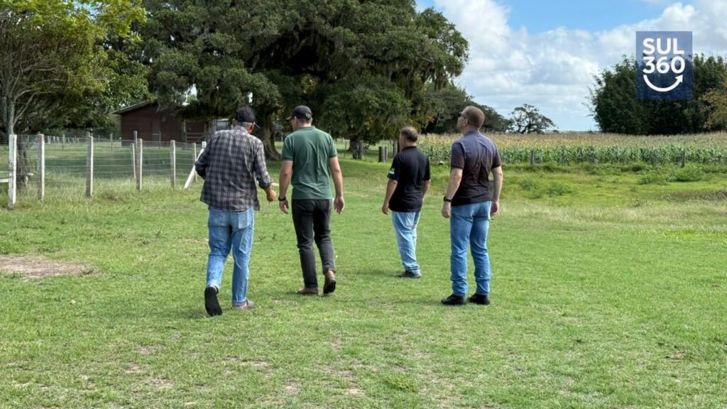 Prefeitura de Camaquã antecipa plano preventivo para cheias na Ilha Santo Antônio