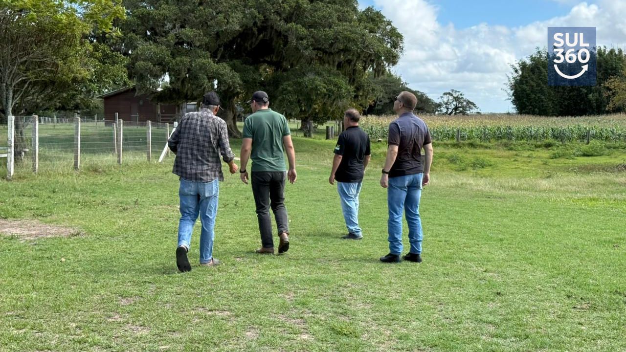 Prefeitura de Camaquã antecipa plano preventivo para cheias na Ilha Santo Antônio