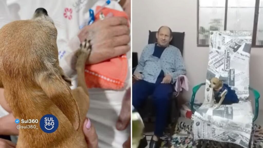 Idoso morre horas após receber visita da cachorrinha em hospital