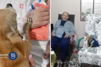 Idoso morre horas após receber visita da cachorrinha em hospital