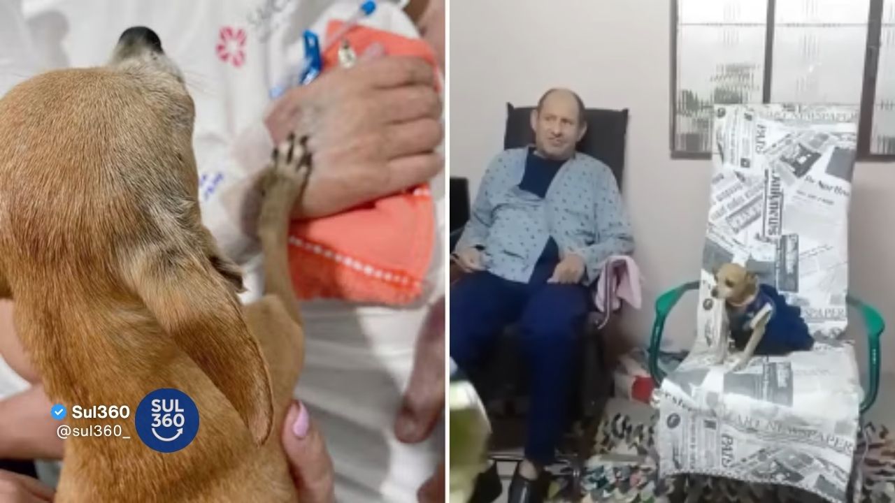 Idoso morre horas após receber visita da cachorrinha em hospital