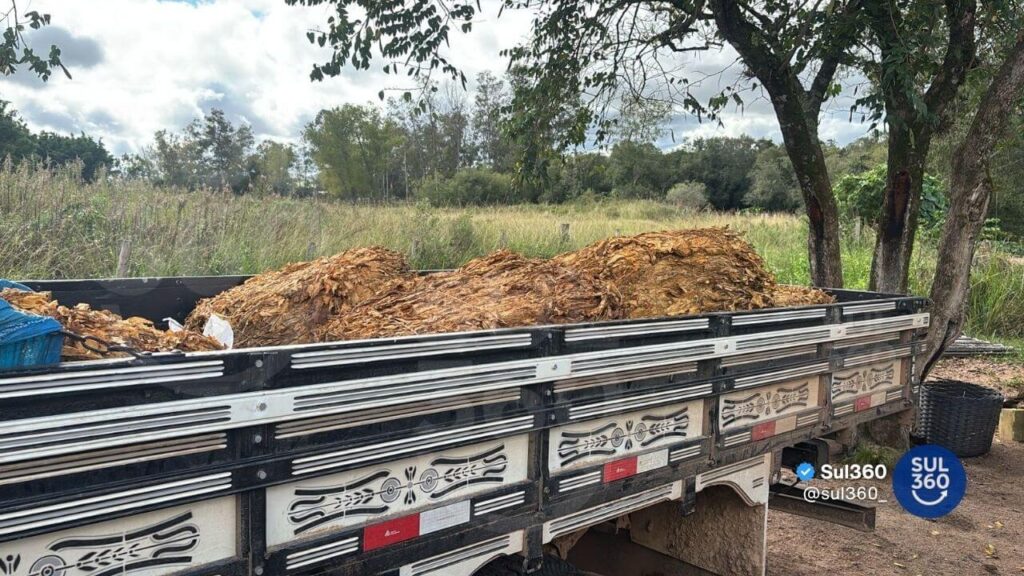Polícia prende suspeitos de furtar 55 arrobas de fumo durante operação conjunta