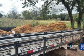 Polícia prende suspeitos de furtar 55 arrobas de fumo durante operação conjunta