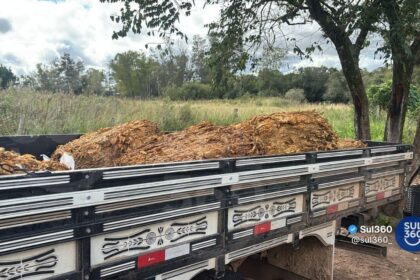 Polícia prende suspeitos de furtar 55 arrobas de fumo durante operação conjunta