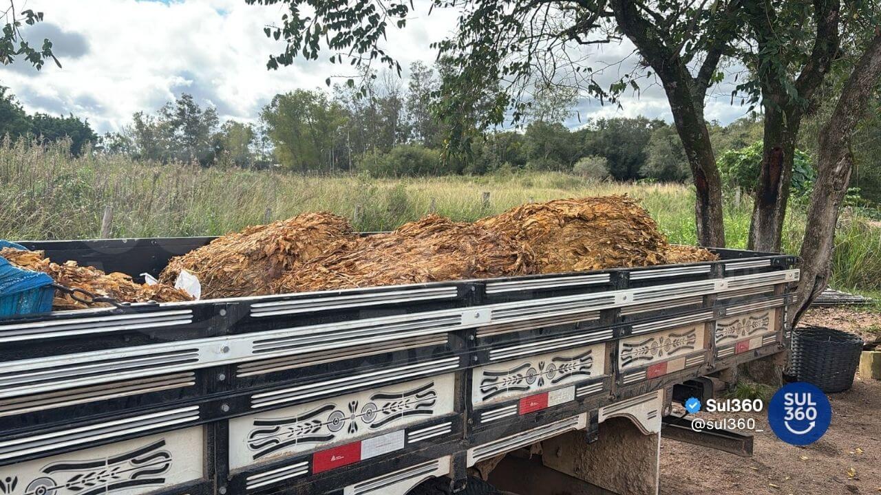 Polícia prende suspeitos de furtar 55 arrobas de fumo durante operação conjunta