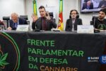 Regulamentação da cannabis terapêutica e das associações canábicas entra em debate no RS