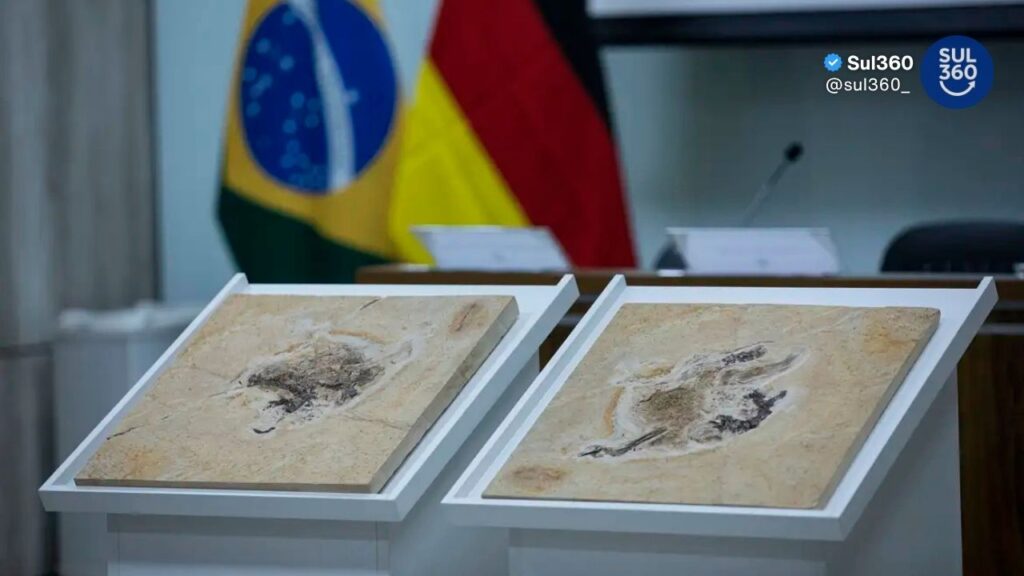 Brasil quer recuperar dinossauros e patrimônios que estão em 14 países