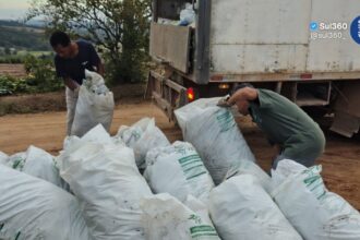 Serviço de coleta seletiva mantém cronograma no interior de Camaquã