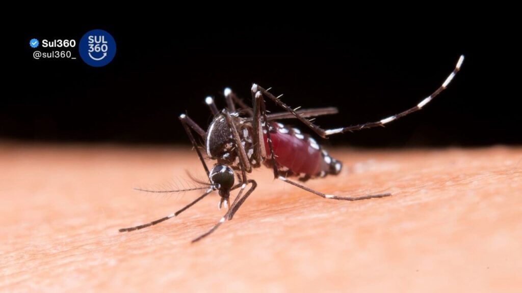 Pelotas confirma o 13° caso de dengue em 2026