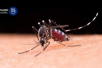 Pelotas confirma o 13° caso de dengue em 2026