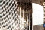 MP/RS pede pena máxima para acusado que maltratou gatos na Serra Gaúcha