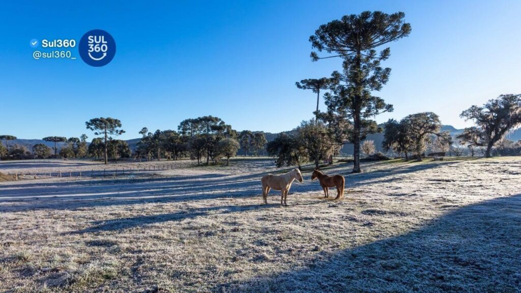 Geada, inverno e frio no Rio Grande do Sul