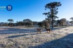Geada, inverno e frio no Rio Grande do Sul