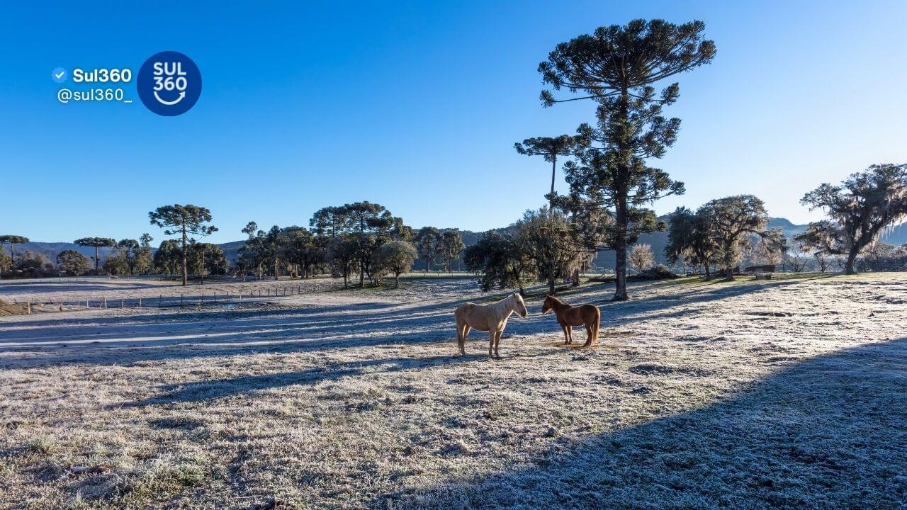 Geada, inverno e frio no Rio Grande do Sul