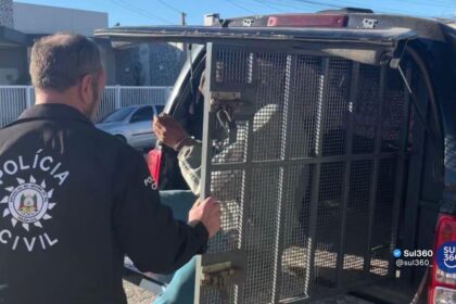 Homem é preso por descumprir medidas protetivas