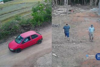 Homens são investigados por maus-tratos e morte de cão no interior de Camaquã