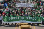Camaquã recebe ato em defesa da fumicultura