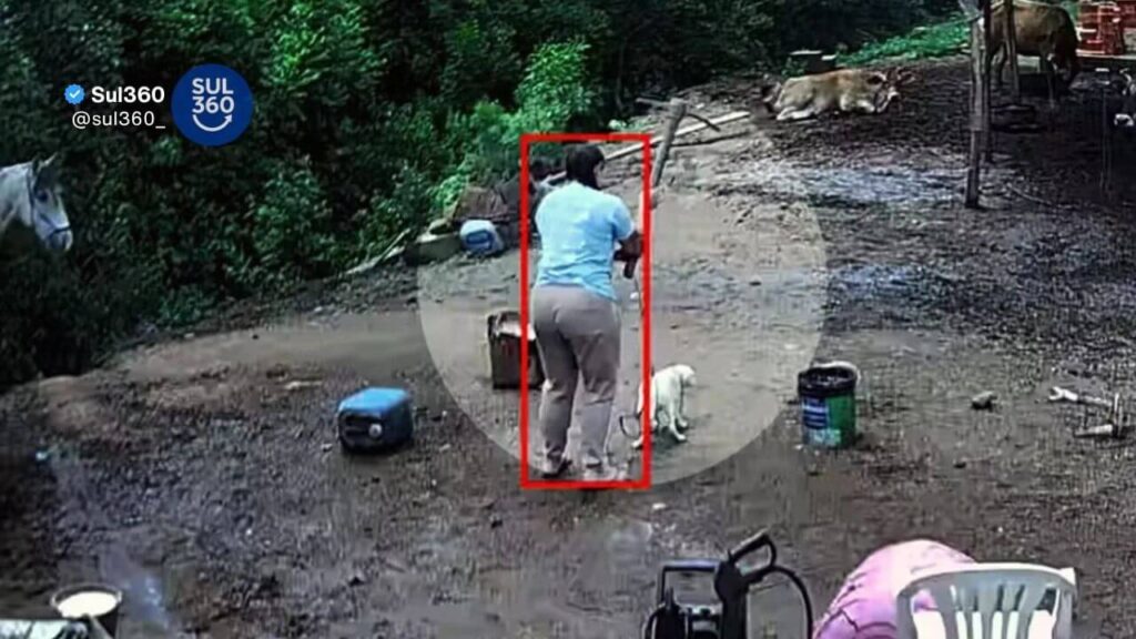 Mulher que matou cachorro com picareta em Porto Alegre é presa após novas evidências