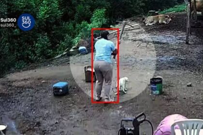 Mulher que matou cachorro com picareta em Porto Alegre é presa após novas evidências