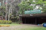 Parque Zoológico de Sapucaia do Sul suspende visitação após morte de cisnes