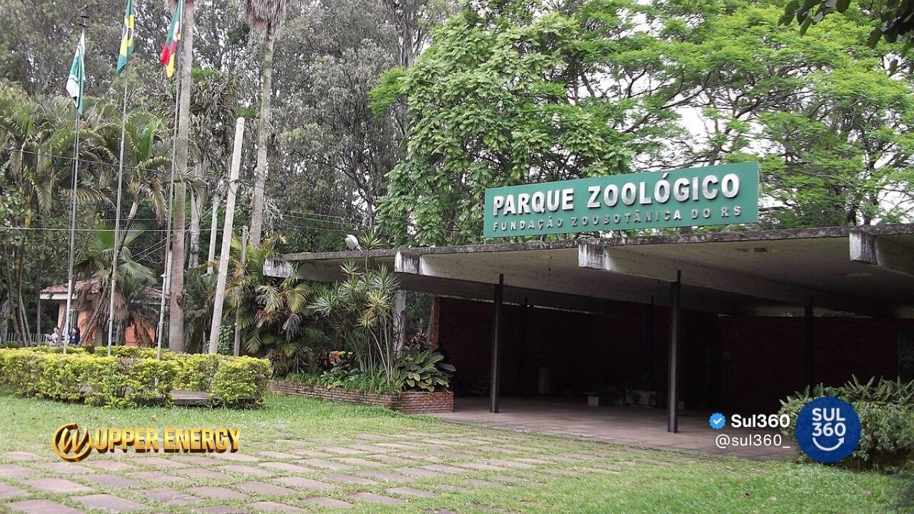Parque Zoológico de Sapucaia do Sul suspende visitação após morte de cisnes