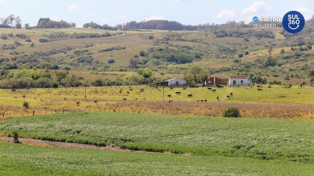 Legislação ambiental e Parque Estadual do Camaquã são temas de palestras gratuitas na Semana Municipal do Meio Ambiente