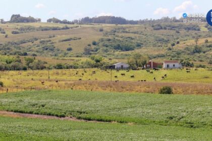 Legislação ambiental e Parque Estadual do Camaquã são temas de palestras gratuitas na Semana Municipal do Meio Ambiente