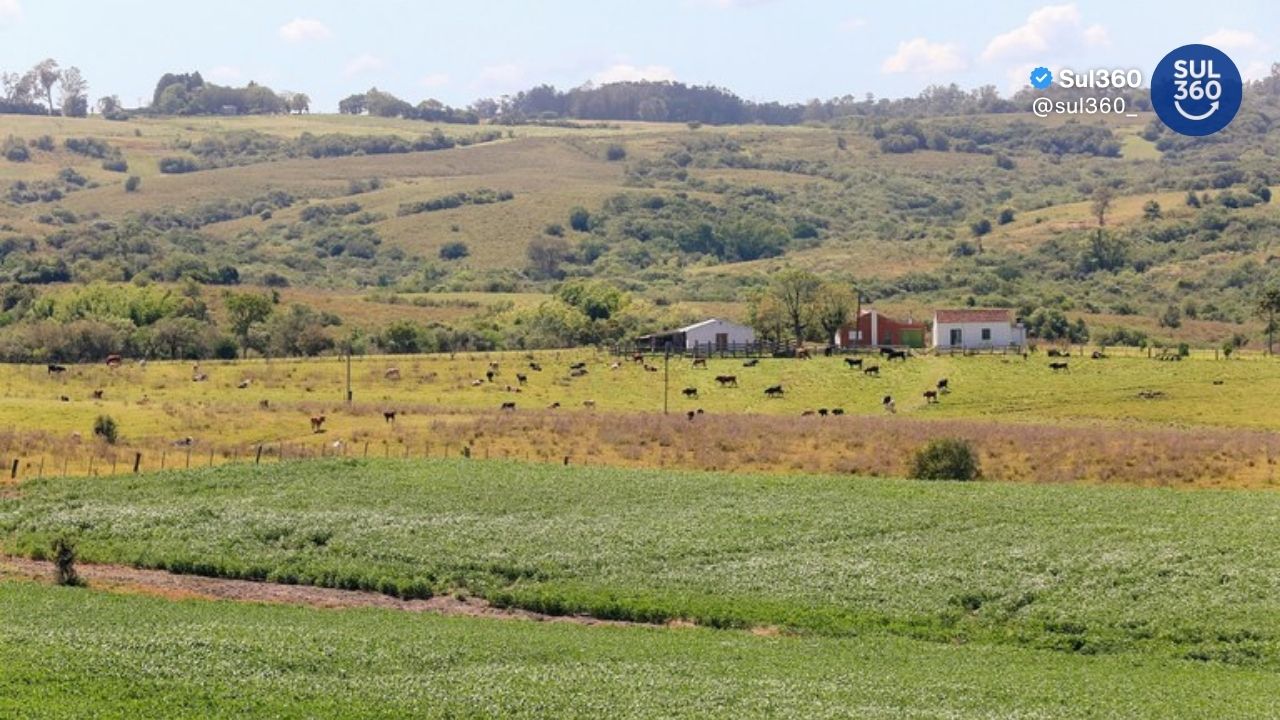Legislação ambiental e Parque Estadual do Camaquã são temas de palestras gratuitas na Semana Municipal do Meio Ambiente