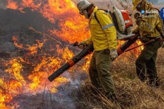 Governo federal libera R$ 337,4 milhões para combate a incêndios e fiscalização ambiental