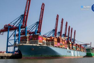 Exportações do Rio Grande do Sul para os EUA atingem maior nível desde retirada de sobretaxas