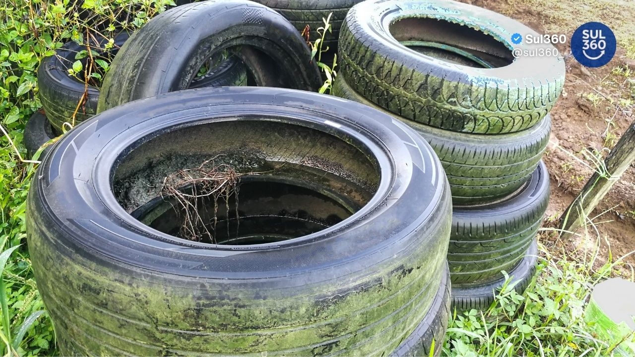 Pelotas confirma 14º caso de dengue em 2026 e registra queda nos focos do mosquito