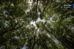 Semana do Meio Ambiente terá exposição de trabalhos e palestras em CamaquãSemana do Meio Ambiente terá exposição de trabalhos e palestras em Camaquã