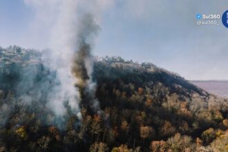 Emissões globais por incêndios atingem menor nível da série histórica em 2026