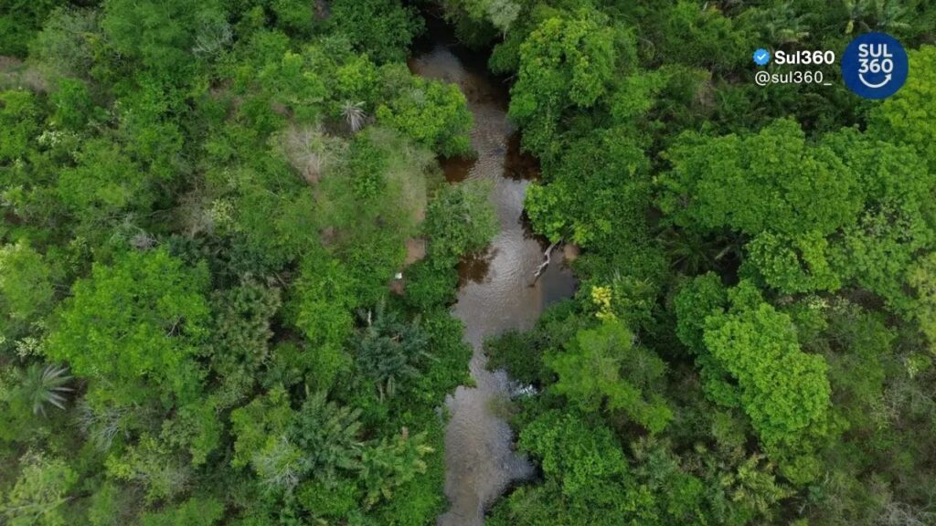 Amazônia registra menor área queimada em 41 anos, aponta levantamento