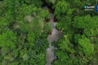 Amazônia registra menor área queimada em 41 anos, aponta levantamento