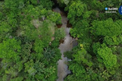 Amazônia registra menor área queimada em 41 anos, aponta levantamento