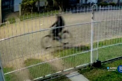 Câmera flagra furto de bicicleta no bairro Olaria, em Camaquã